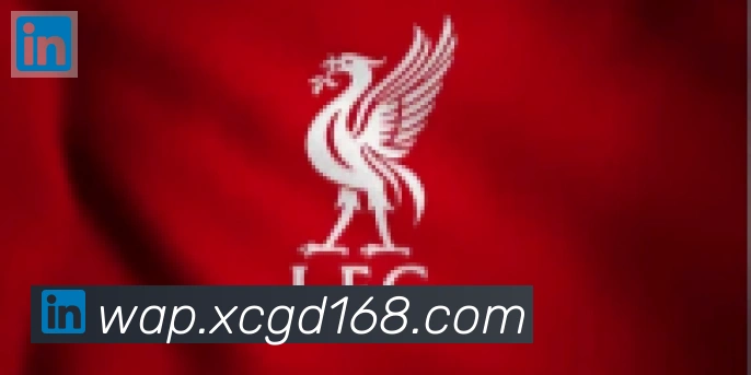 开云官方网站登录入口合作伙伴