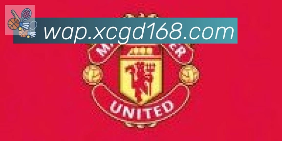 开云官方网站登录入口合作伙伴